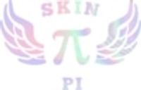 Skin Pi coupons